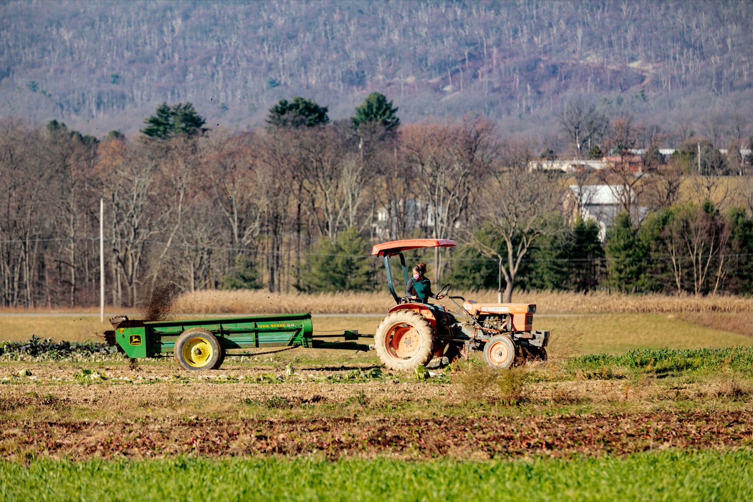 Aimee Good, co-owner and operator of The Good Farm, works the field in Germansville on Friday, November 20, 2020.<br><a href="https://filesource.amperwave.net/commonwealthofpa/photo/18325_AGRIC_Farm_Show_NK_010.jpg" target="_blank">⇣ Download Photo</a>