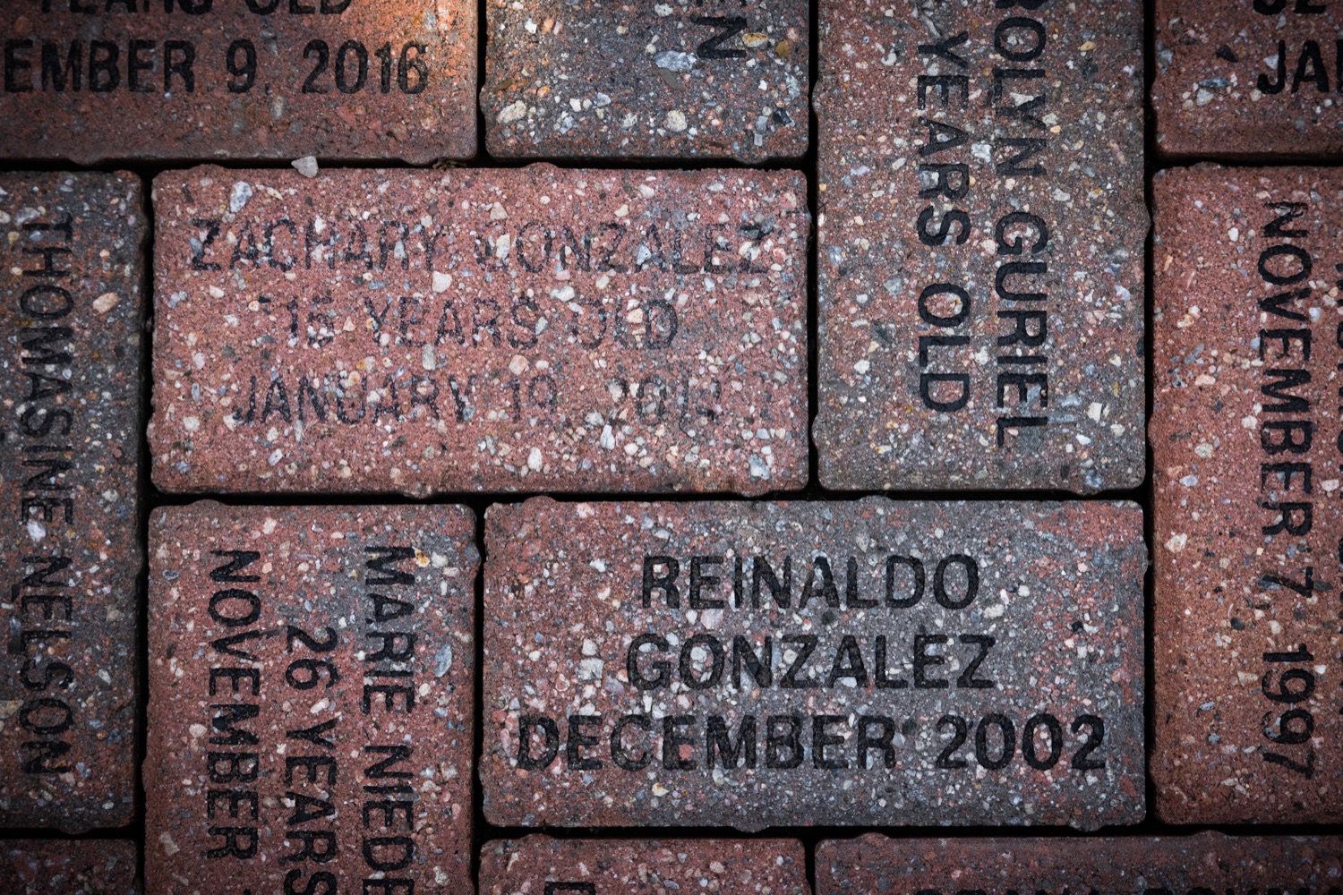 Memorial bricks in remembrance of at the DUI Victims Memorial Garden.The Pennsylvania Department of Transportation (PennDOT), the Pennsylvania State Police (PSP), and the Pennsylvania DUI Association gathered today with local police agencies and victims advocates in the DUI Victims Memorial Garden to urge motorists to celebrate responsibly ahead of the Labor Day holiday.  Harrisburg, PA  August 24, 2021<br><a href="https://filesource.amperwave.net/commonwealthofpa/photo/18979_pdot_laborDay_dz_004.jpg" target="_blank">⇣ Download Photo</a>