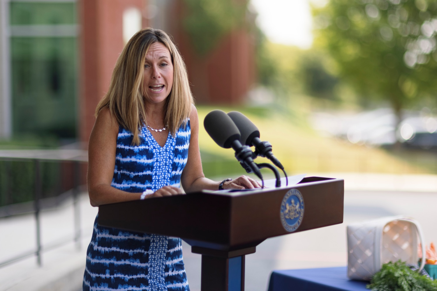 Vonda Ramp, PA Dept. of Education director of Childhood Nutrition Programs, speaks during a press conference, which highlighted the success of Pennsylvania's farm to school programs, at Hill Top Academy in Mechanicsburg on Friday, August 27, 2021.<br><a href="https://filesource.amperwave.net/commonwealthofpa/photo/19054_AGRIC_FarmToSchool_NK_016.jpg" target="_blank">⇣ Download Photo</a>