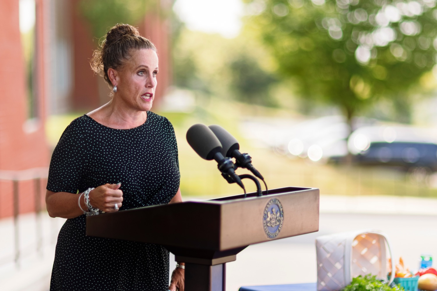 Representative Sheryl Delozier speaks during a press conference, which highlighted the success of Pennsylvania's farm to school programs, at Hill Top Academy in Mechanicsburg on Friday, August 27, 2021.<br><a href="https://filesource.amperwave.net/commonwealthofpa/photo/19054_AGRIC_FarmToSchool_NK_019.jpg" target="_blank">⇣ Download Photo</a>