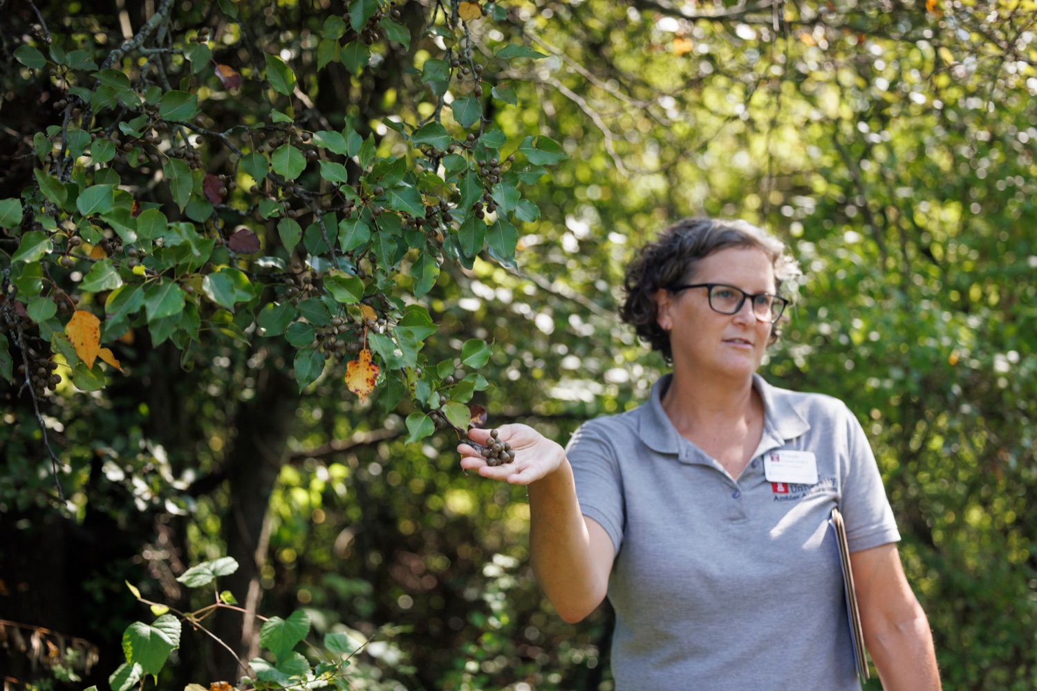 Kathy Salisbury, director of Ambler Arboretum and instructor of Landscape Architecture and Horticulture at Temple University, leads a tour at Ambler Field Station where Temple University is conducting invasive species research and management on Friday, September 8, 2023.<br><a href="https://filesource.amperwave.net/commonwealthofpa/photo/23666_AGRIC_Invasive_Species_NK_010.JPG" target="_blank">⇣ Download Photo</a>
