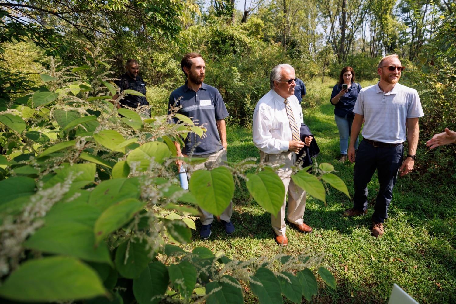 From left; Governors Invasive Species Council Coordinator Kris Abell; House Agriculture and Rural Affairs Committee co-chair Eddie Day Pashinski; and Hardwoods Development Councils Jon Geyer stand in front of Invasive Japanese knotweed (Fallopia japonica) at Ambler Field Station where Temple University is conducting invasive species research and management on Friday, September 8, 2023.<br><a href="https://filesource.amperwave.net/commonwealthofpa/photo/23666_AGRIC_Invasive_Species_NK_011.JPG" target="_blank">⇣ Download Photo</a>
